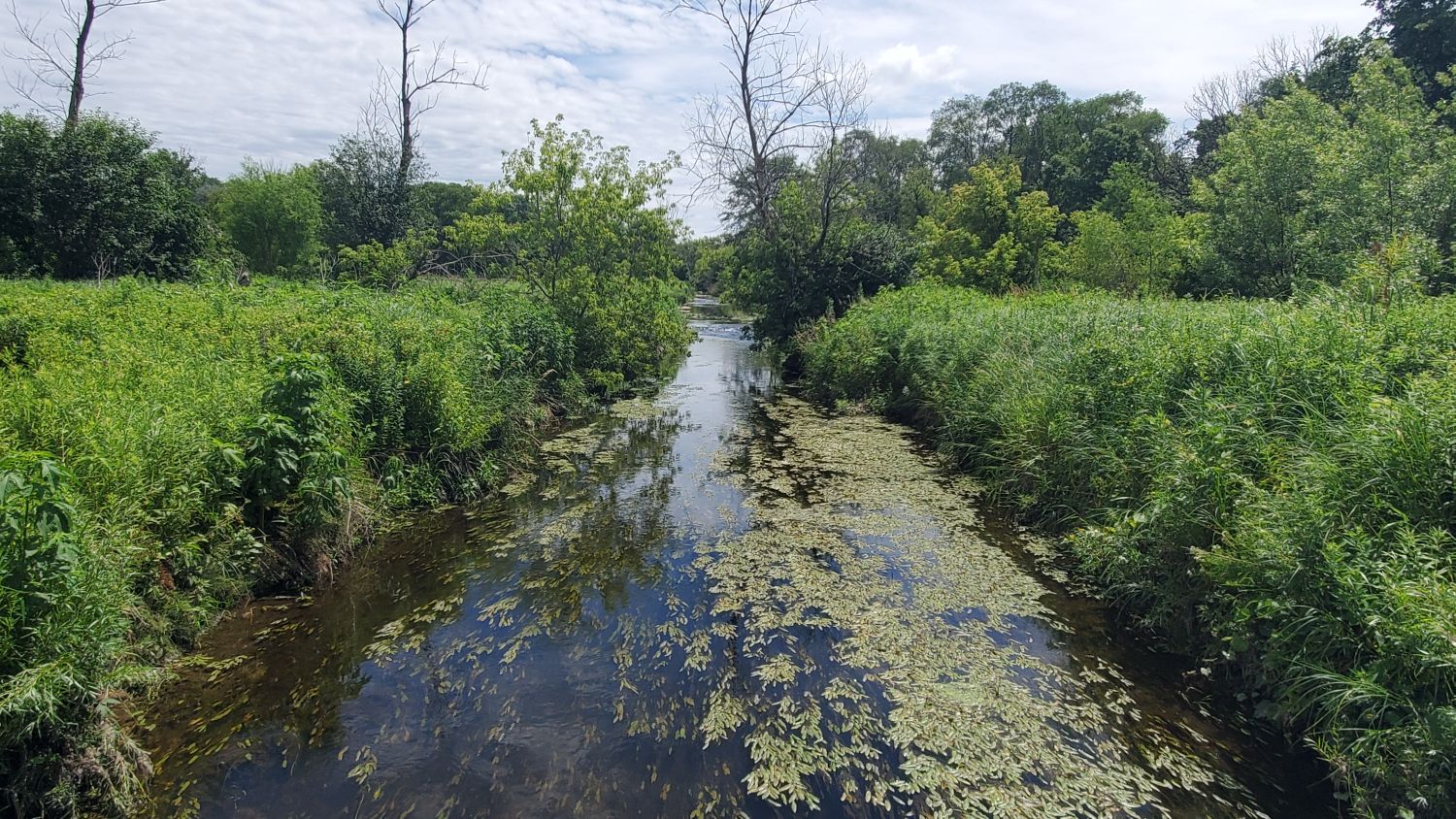 Saint James Forest Preserve 